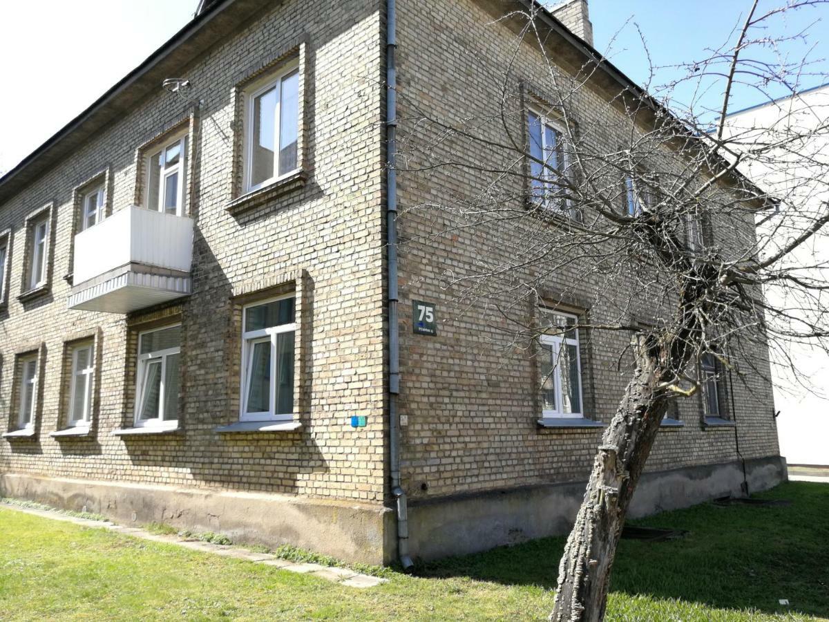 Siauliai Central Spot Apartment Εξωτερικό φωτογραφία